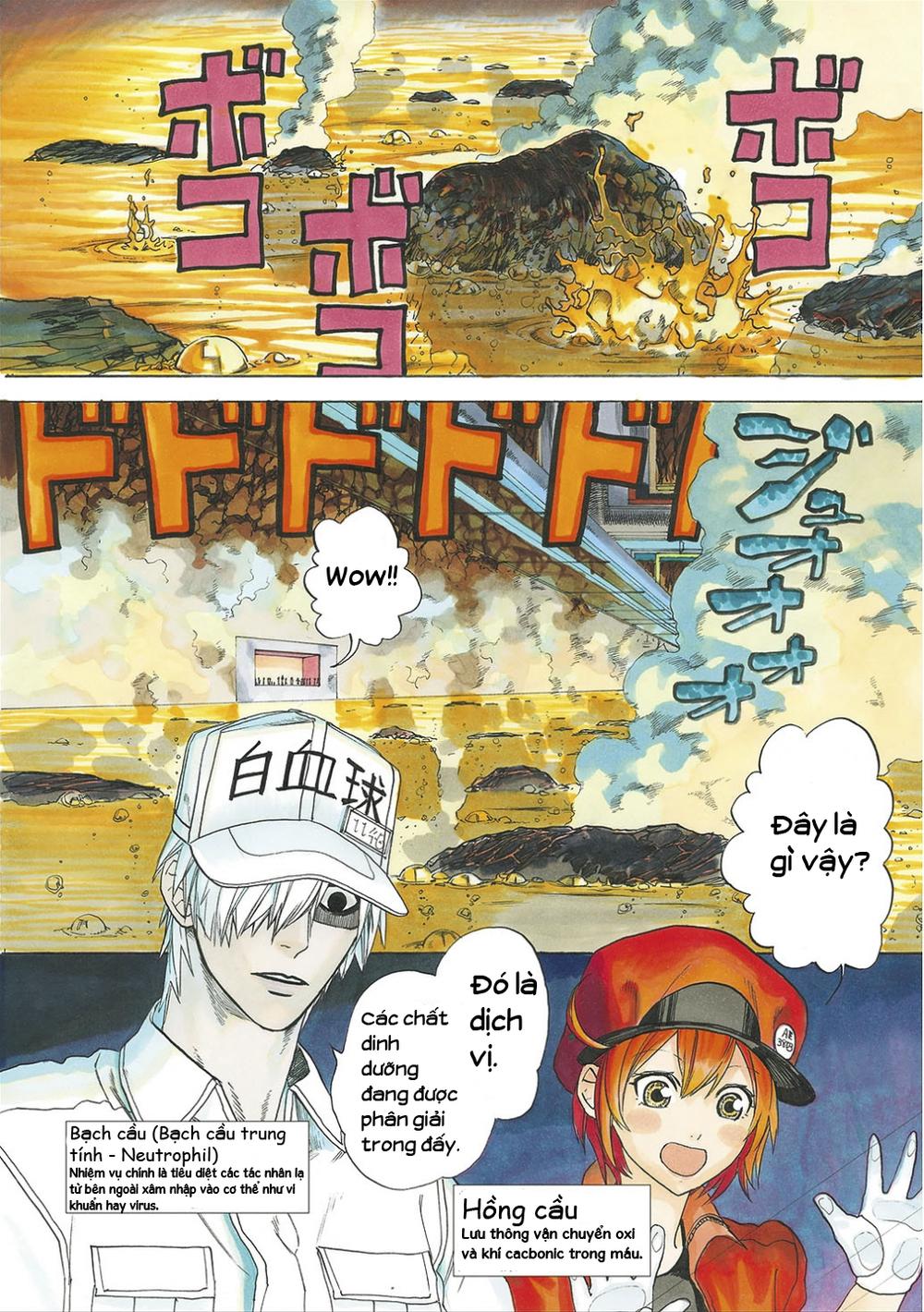 Hataraku Saibou! Chapter 5 - 4