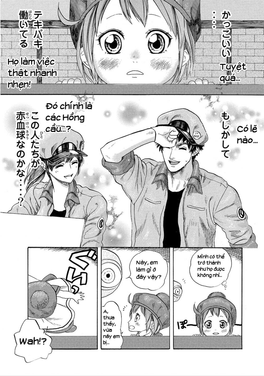 Hataraku Saibou! Chapter 7 - 13