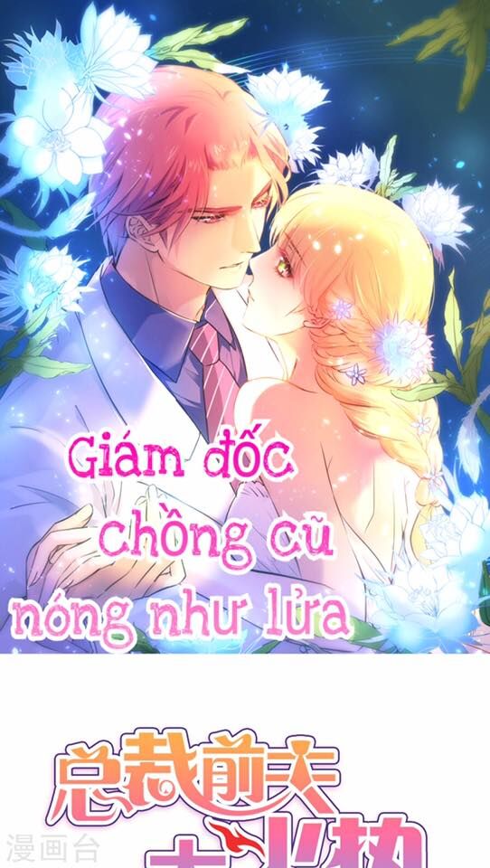 Giám Đốc Chồng Cũ Nóng Như Lửa Chapter 1 - 1