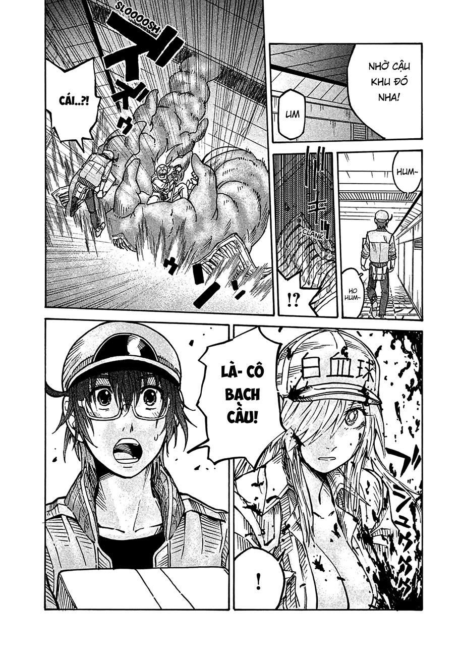 Hataraku Saibou Black Chapter 10 - 33