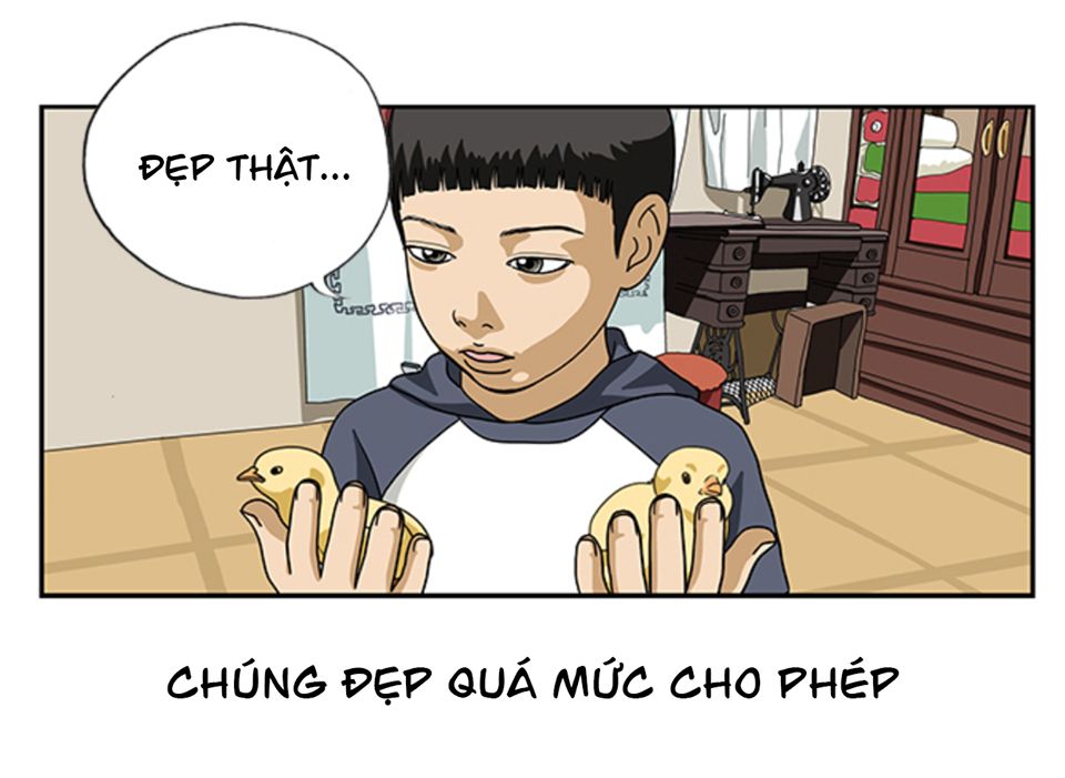 Cậu Bé Lập Dị Chapter 14 - 14