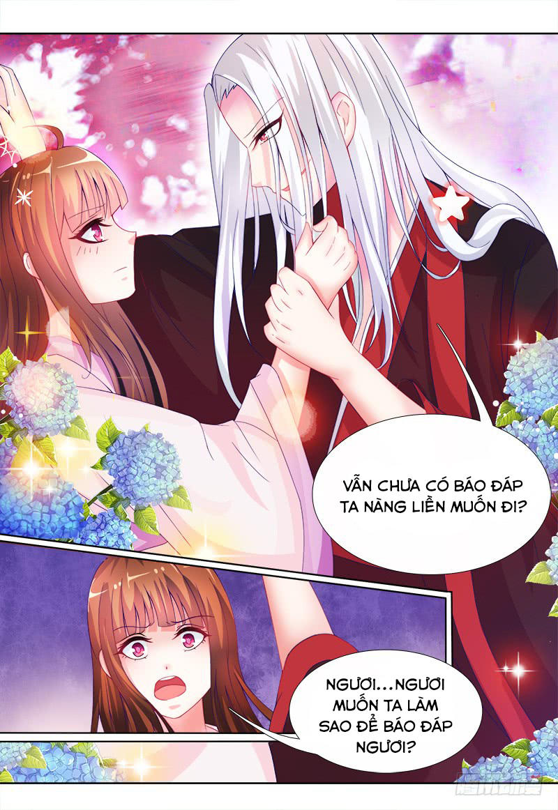 Song Diện Sư Tôn Chớ Làm Loạn Chapter 1 - 24