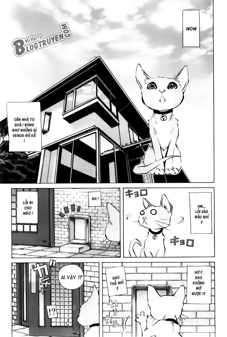 Pastel Chapter 125 - 25