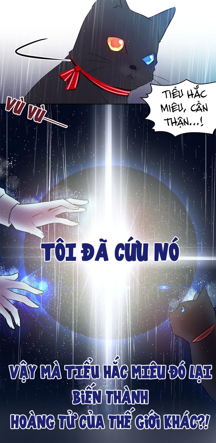 Miêu Vương Tử Đích Tân Nương Chapter 0.5 - 5