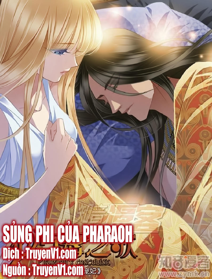 Sủng Phi Của Pharaoh Chapter 54 - 1