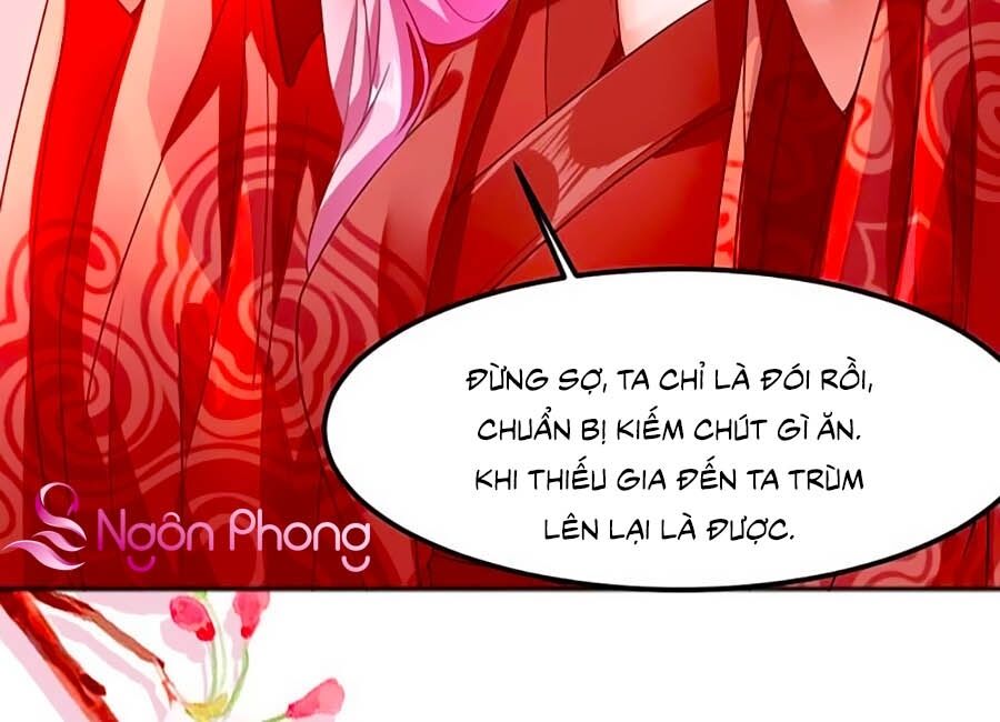 Hào Môn Thịnh Sủng Chapter 1 - 31