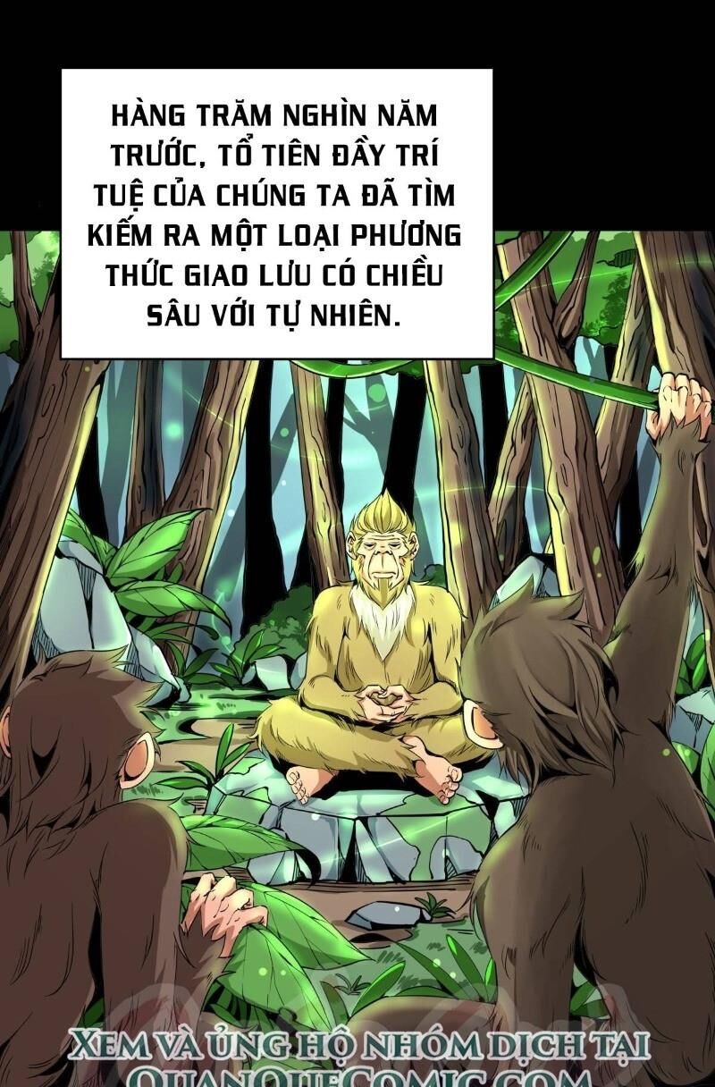 Thiên Luân Chapter 3 - 1