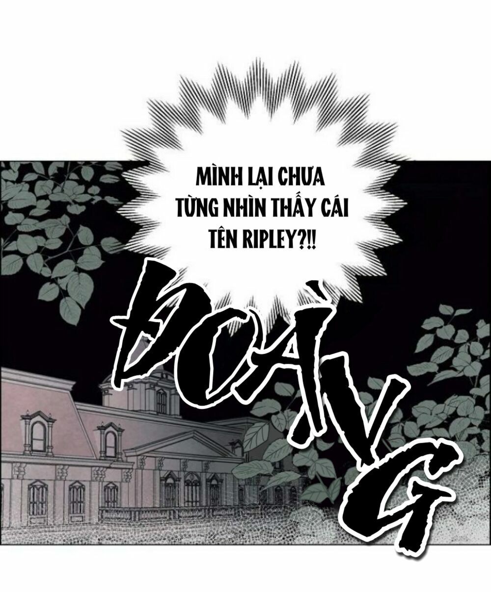 Tôi Đã Cướp Mất Đêm Đầu Tiên Của Nam Chính Chapter 1 - 28