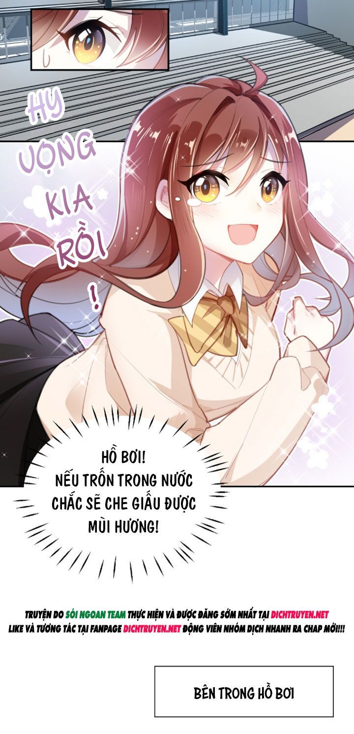 Em Là Bạc Hà Mèo Của Tôi Chapter 2 - 9