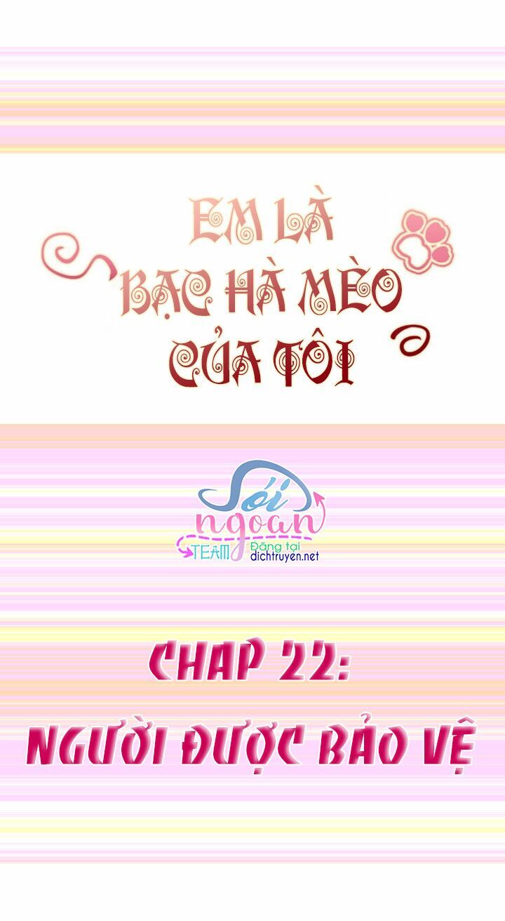 Em Là Bạc Hà Mèo Của Tôi Chapter 22 - 1