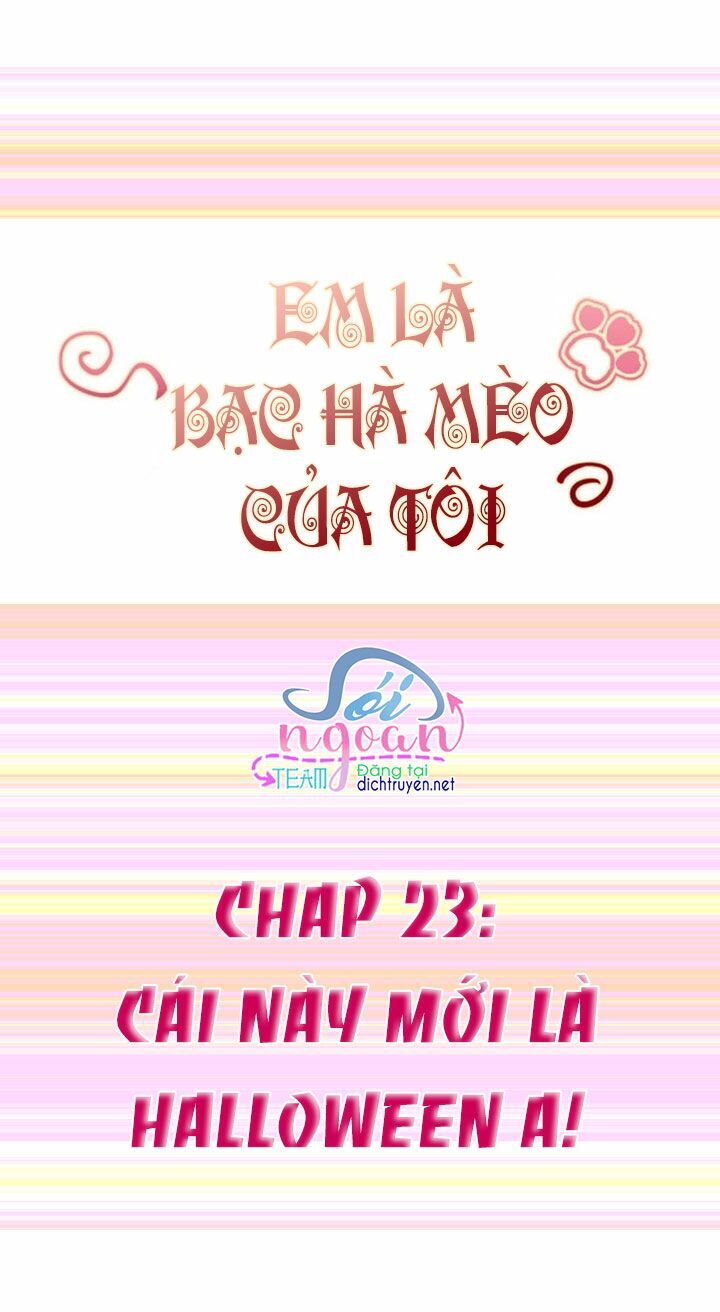 Em Là Bạc Hà Mèo Của Tôi Chapter 23 - 1