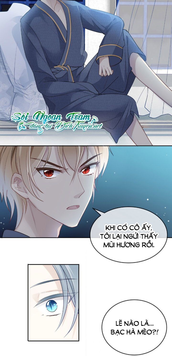 Em Là Bạc Hà Mèo Của Tôi Chapter 4 - 14