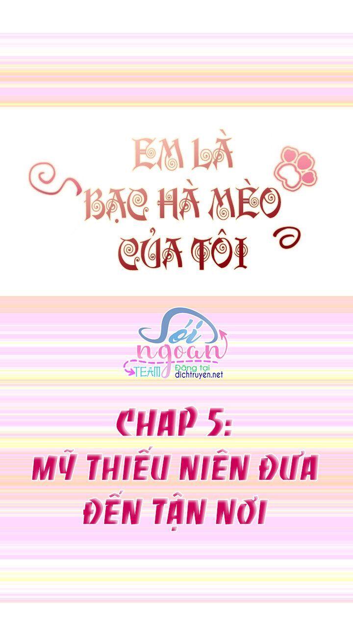 Em Là Bạc Hà Mèo Của Tôi Chapter 5 - 2