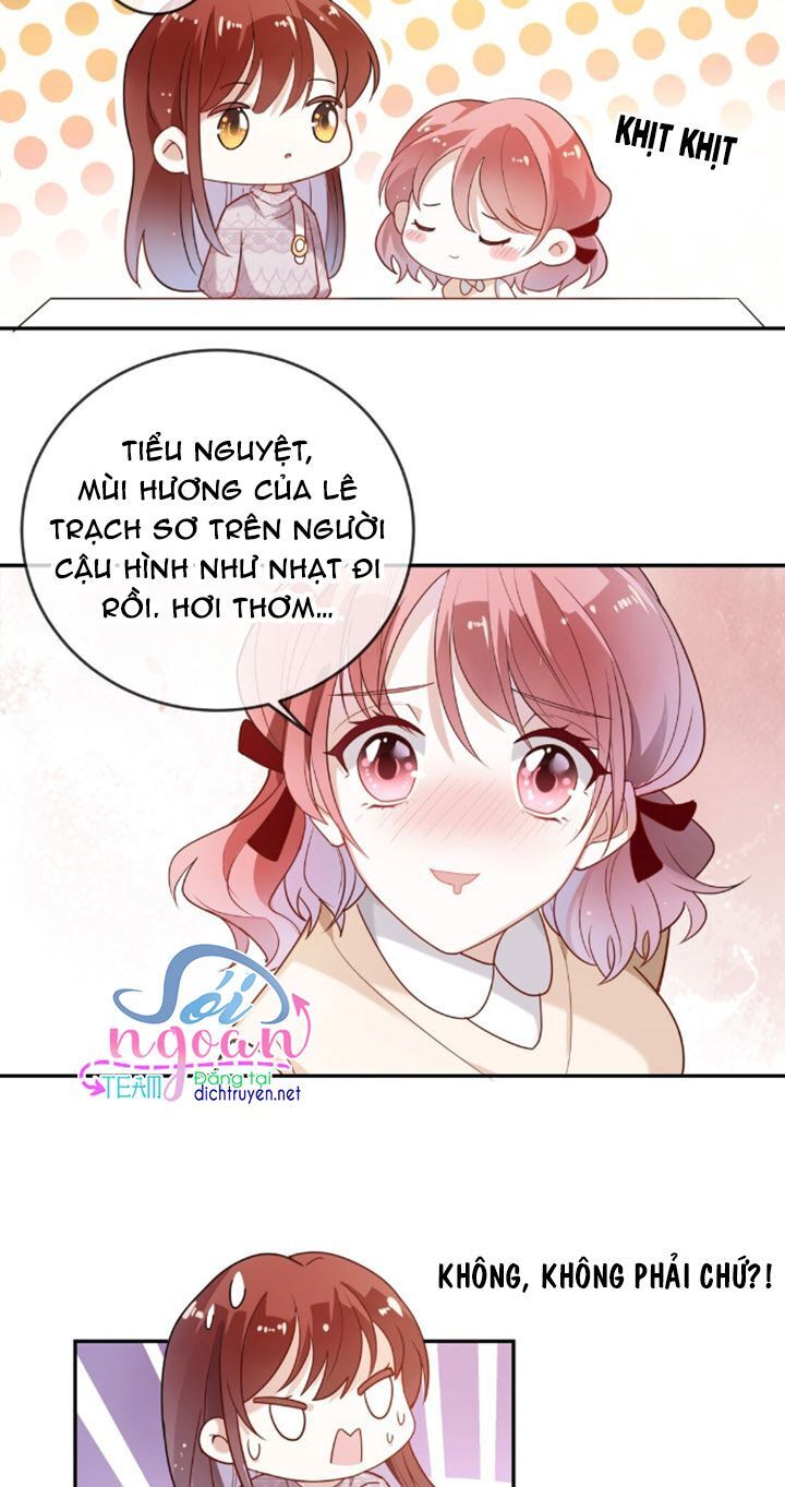 Em Là Bạc Hà Mèo Của Tôi Chapter 6 - 26