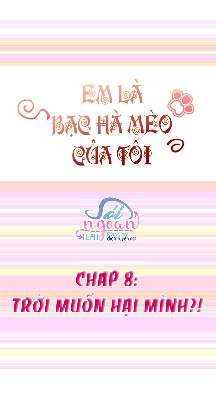 Em Là Bạc Hà Mèo Của Tôi Chapter 8 - 1