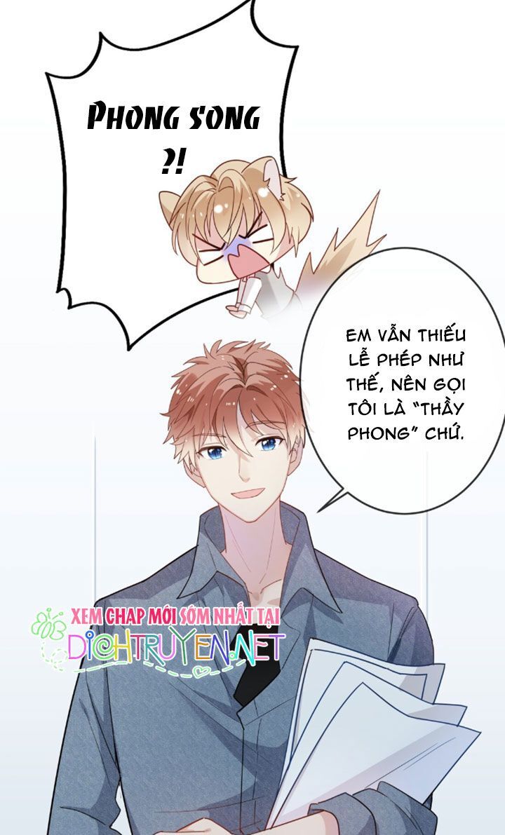 Em Là Bạc Hà Mèo Của Tôi Chapter 8 - 16