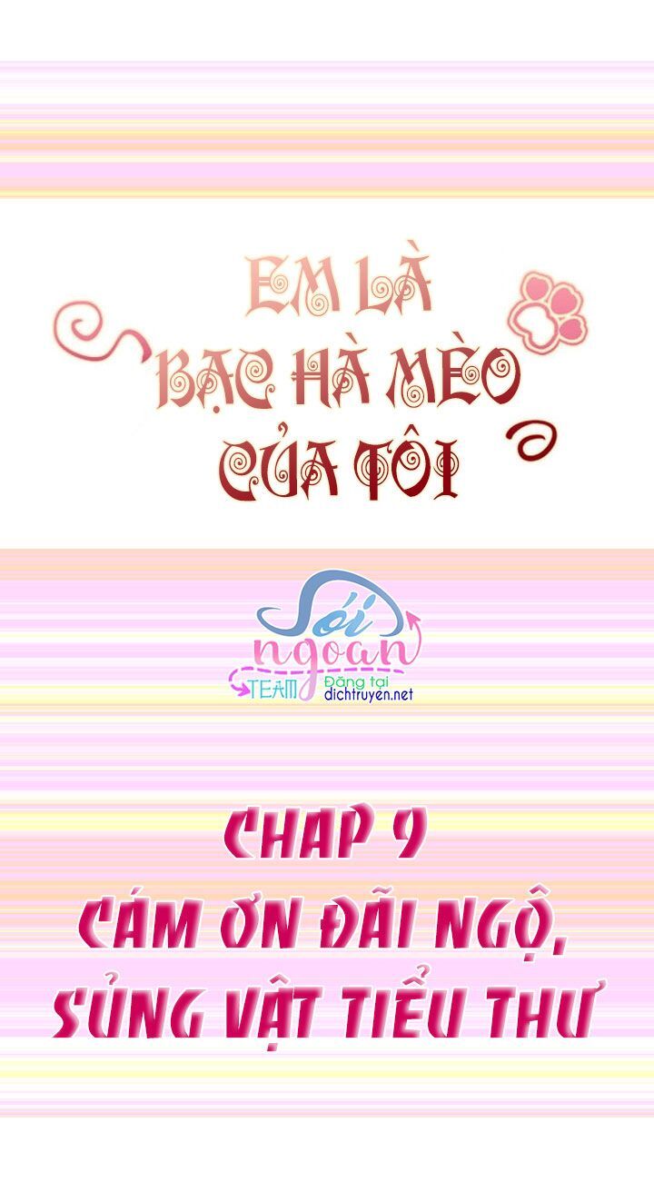 Em Là Bạc Hà Mèo Của Tôi Chapter 9 - 1