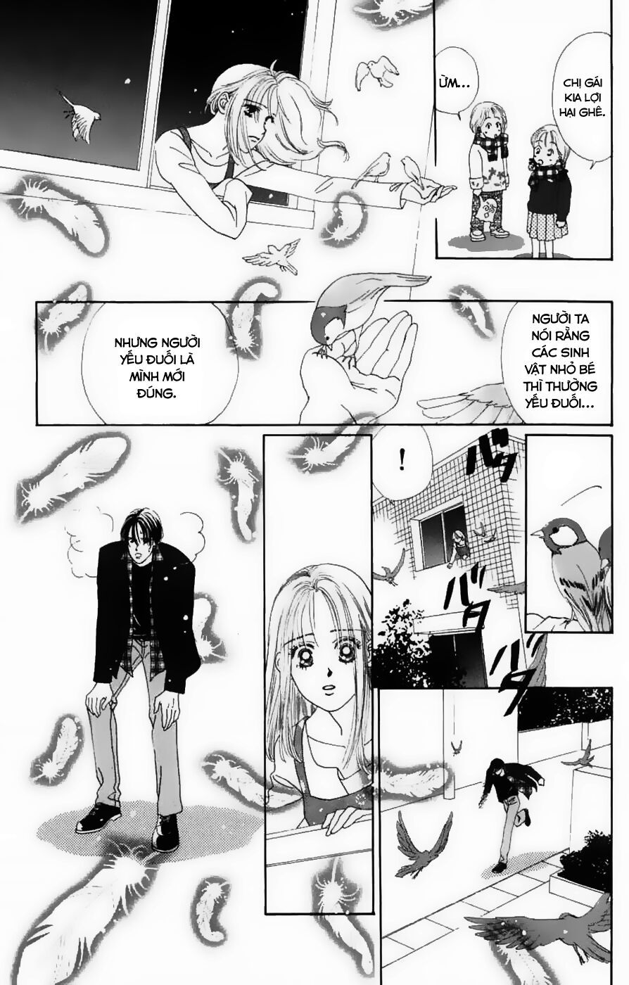 Only You (Suetsugu Yuki) Chapter 11 - 16