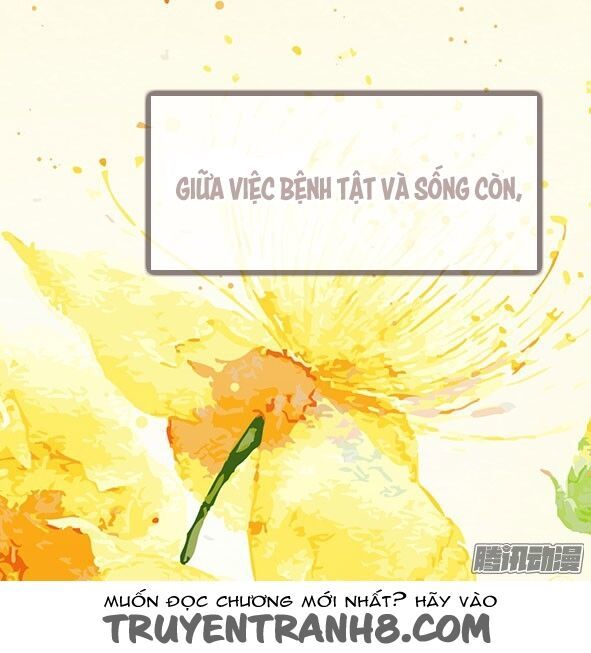 Giữa Anh Và Em Chapter 62 - 44