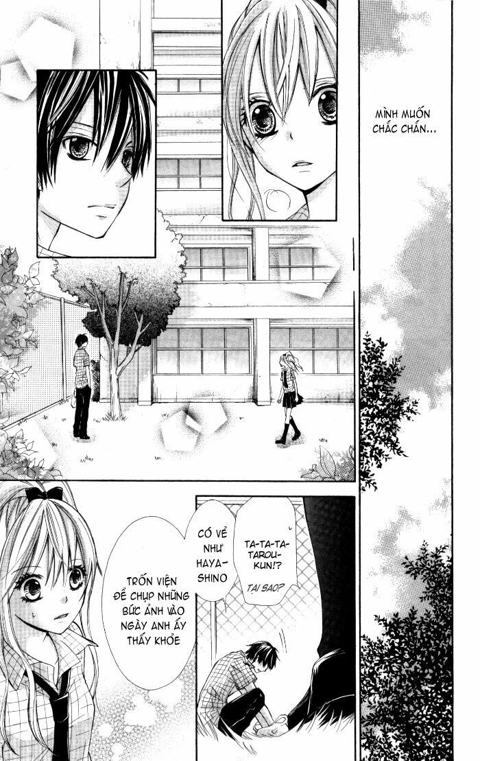 Air Koi Chapter 3 - 19