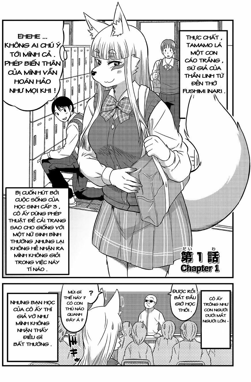 High School Inari Tamamo-Chan Chapter 1 - 6