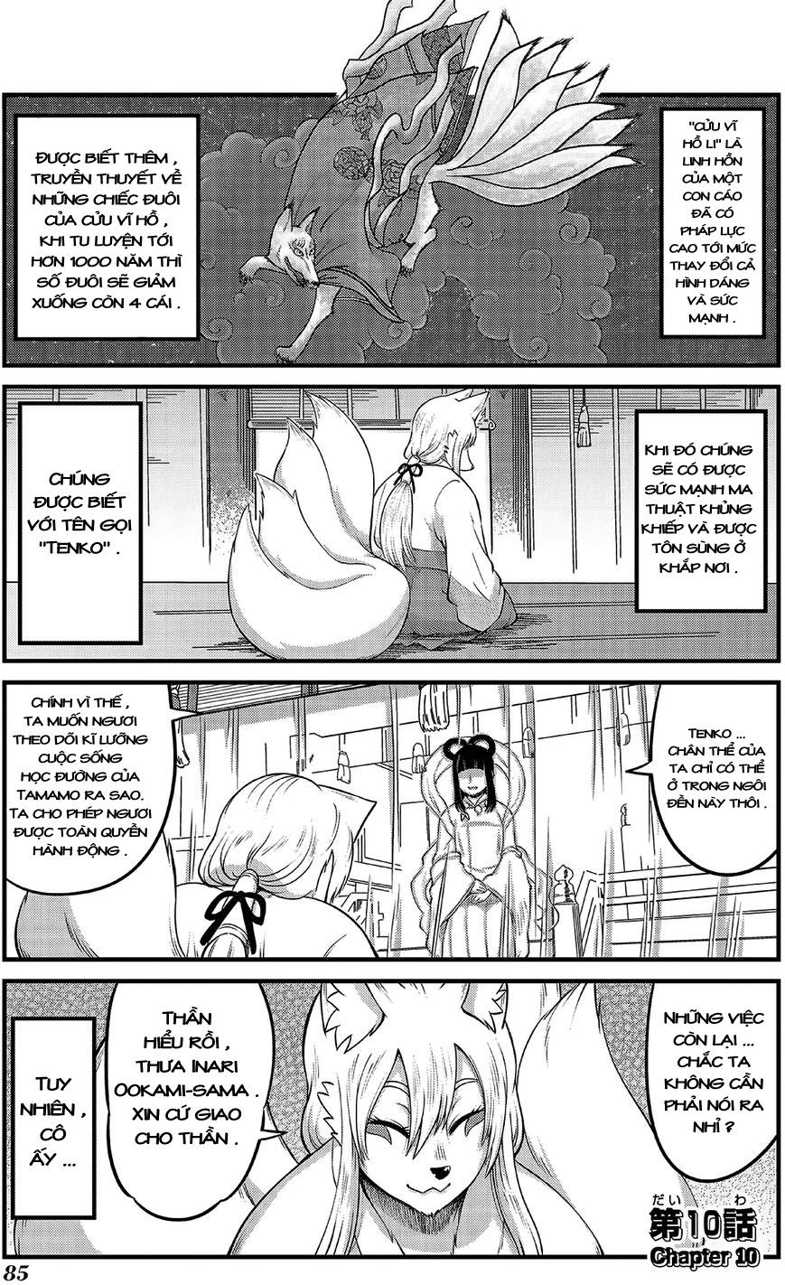 High School Inari Tamamo-Chan Chapter 10 - 2