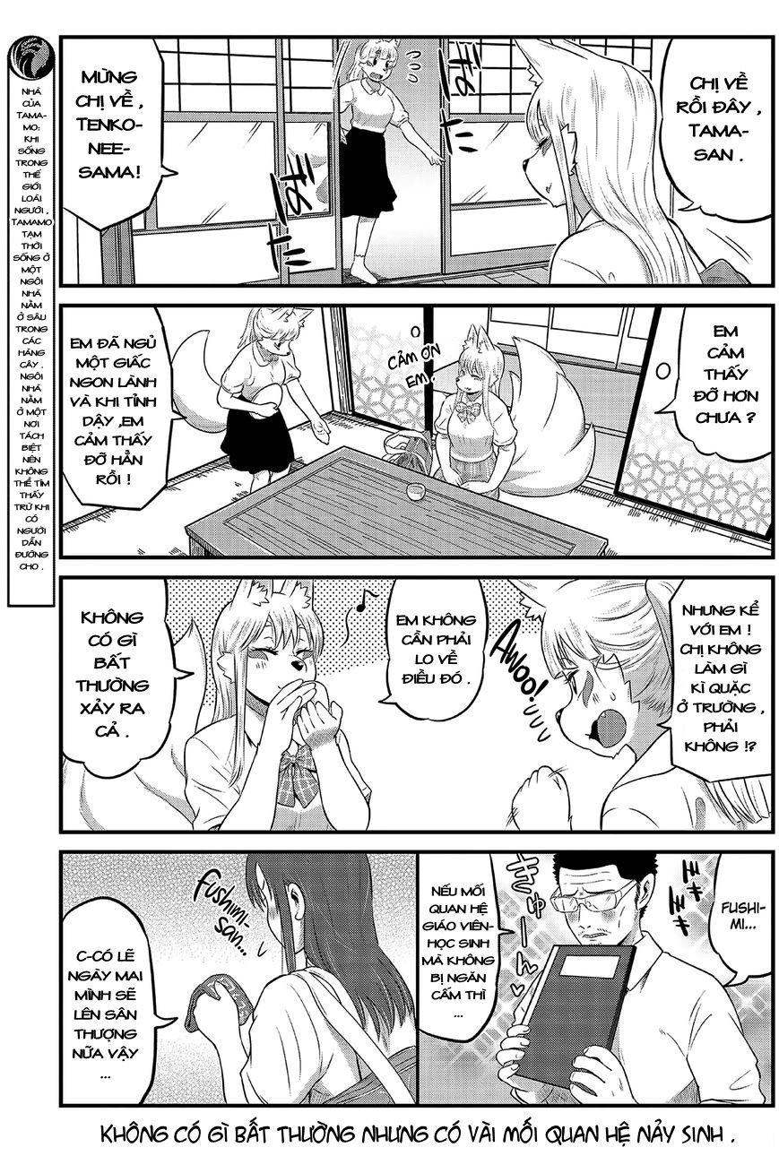 High School Inari Tamamo-Chan Chapter 11 - 8