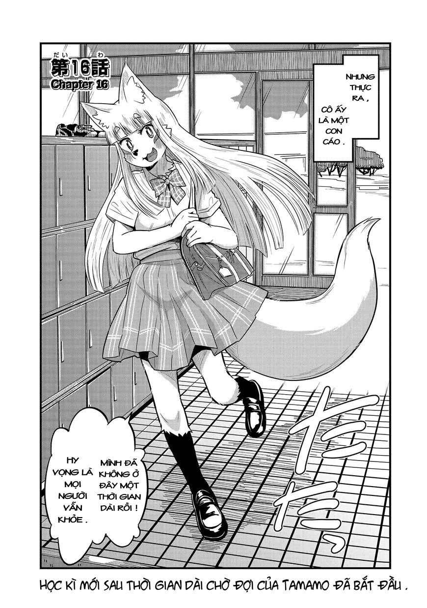 High School Inari Tamamo-Chan Chapter 16 - 6