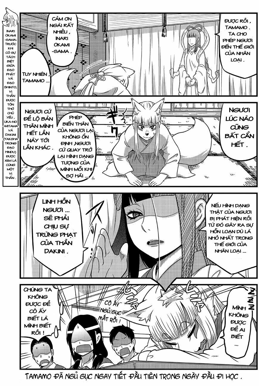 High School Inari Tamamo-Chan Chapter 2 - 6