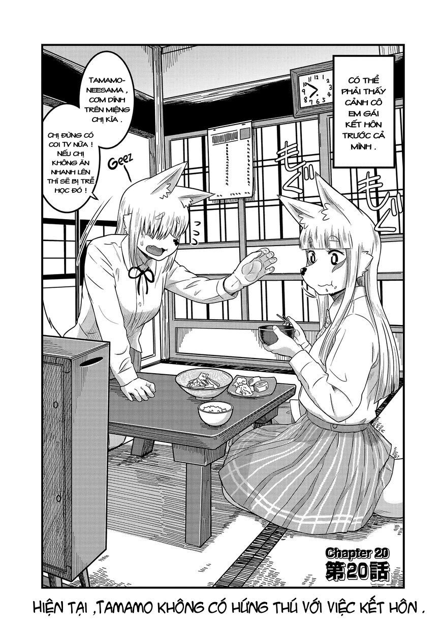 High School Inari Tamamo-Chan Chapter 20 - 3