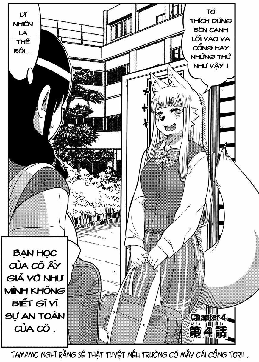 High School Inari Tamamo-Chan Chapter 4 - 3