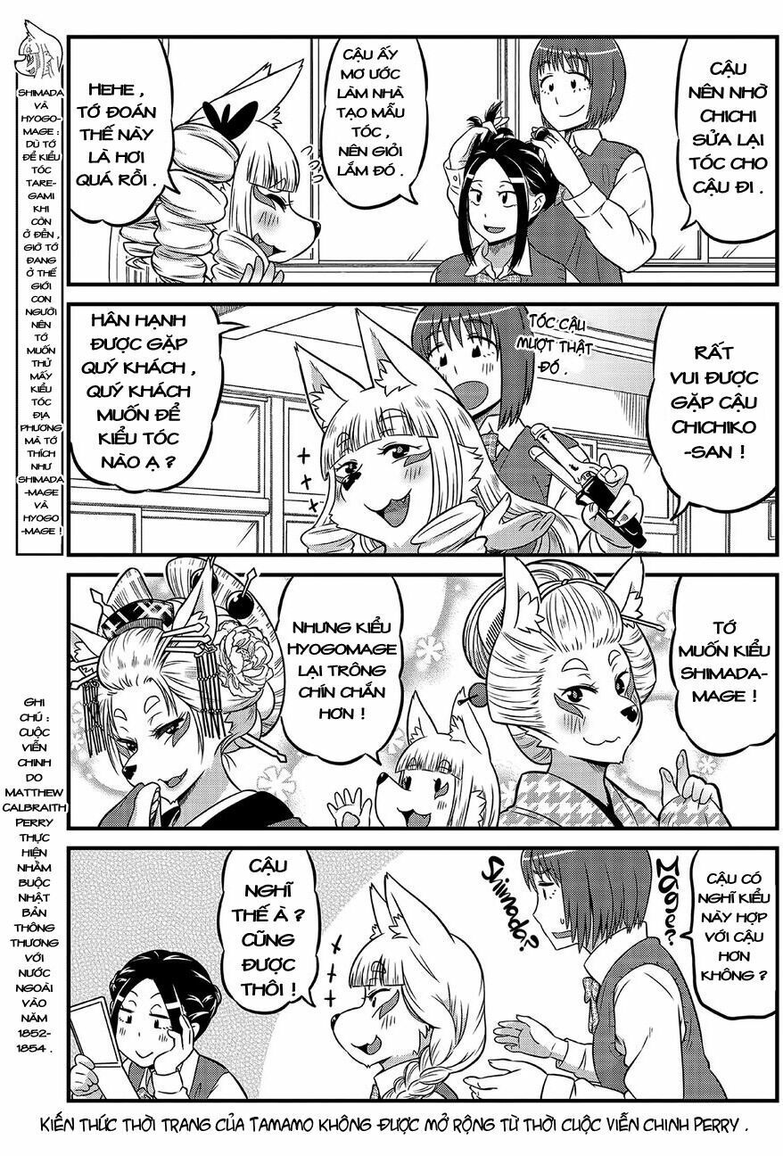 High School Inari Tamamo-Chan Chapter 4 - 6