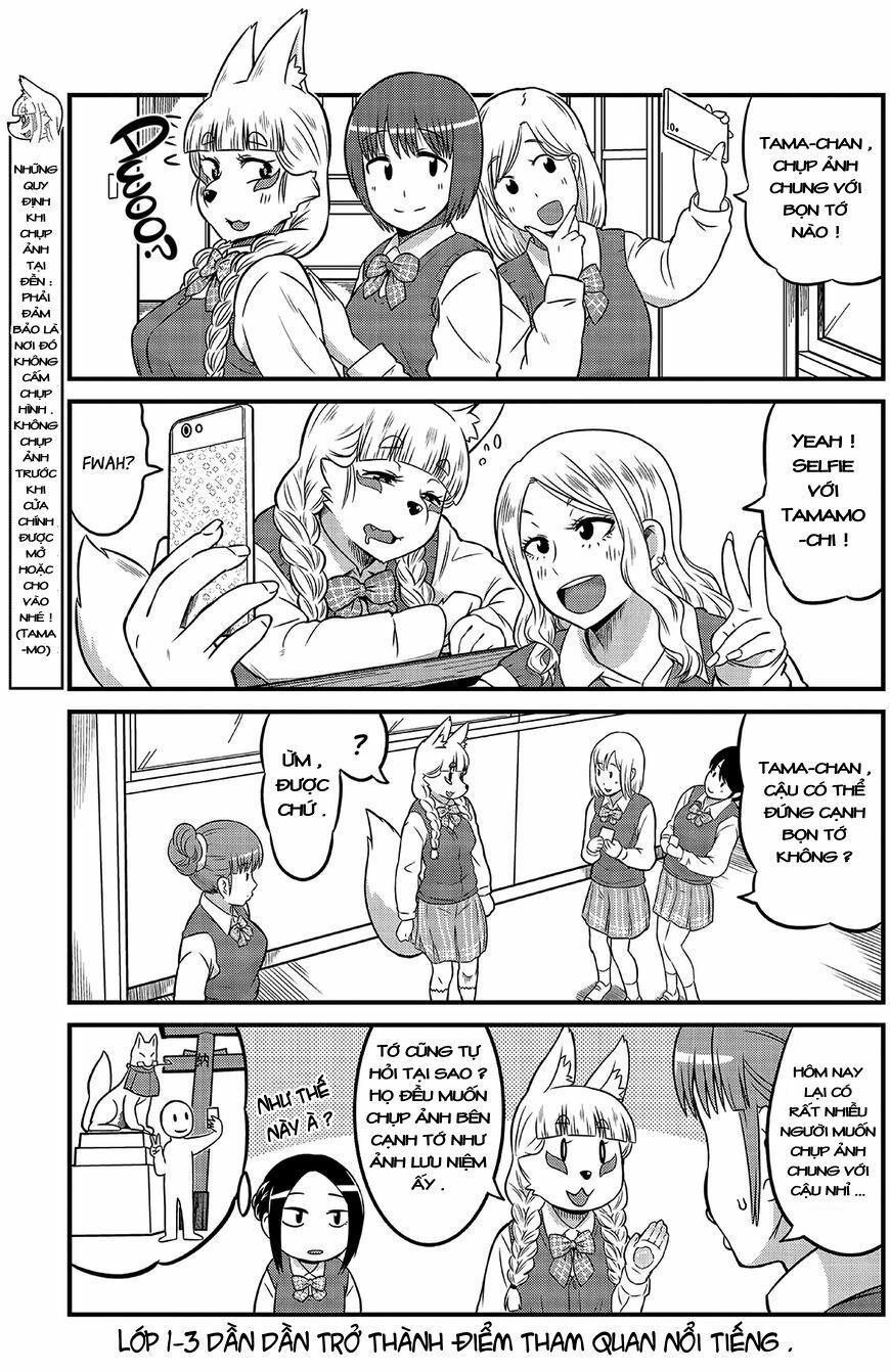 High School Inari Tamamo-Chan Chapter 4 - 8