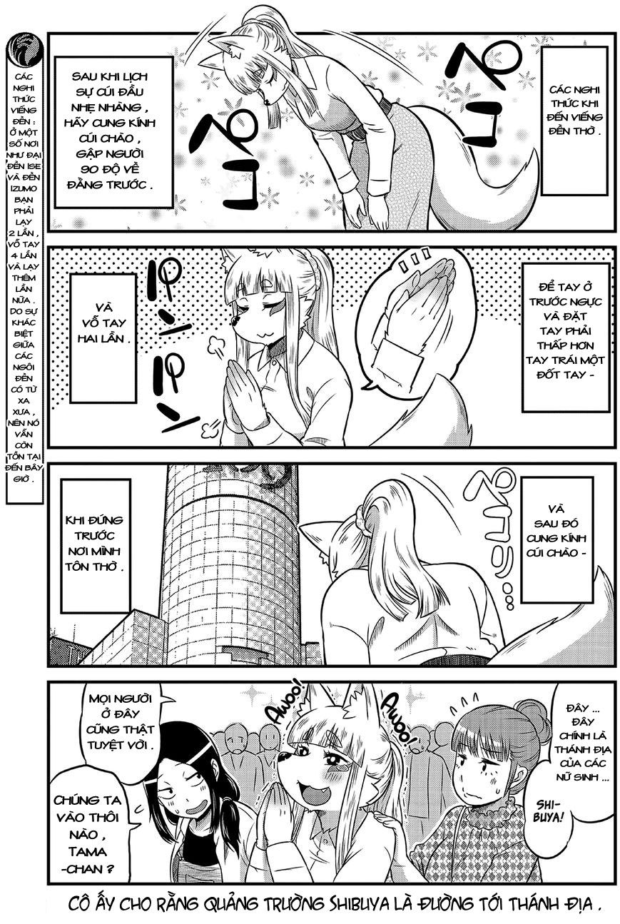 High School Inari Tamamo-Chan Chapter 8 - 4