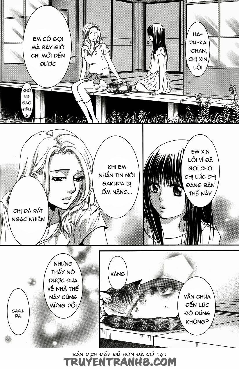 Kore Wa Koi No Hanashi Chapter 35 - 14