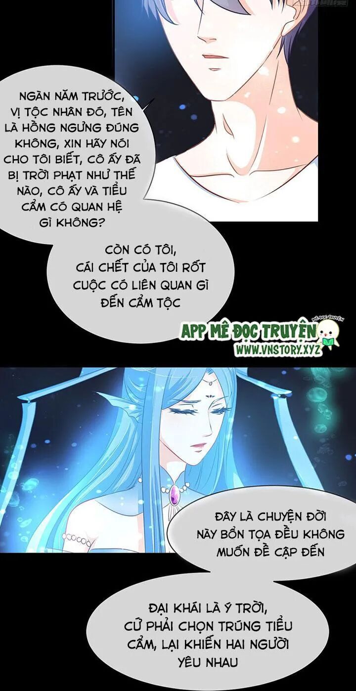 Cẩm Lý Thiếu Nữ Của Tôi Chapter 67 - 37