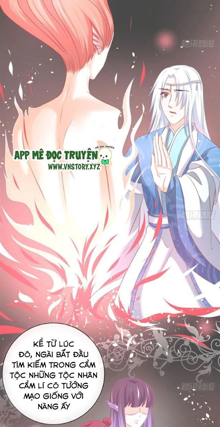 Cẩm Lý Thiếu Nữ Của Tôi Chapter 68 - 8