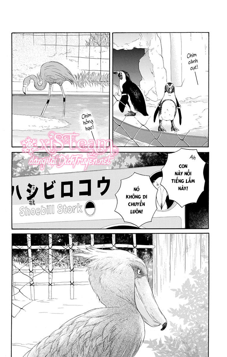 Kawaii Hito (Saitou Ken) Chapter 19 - 15