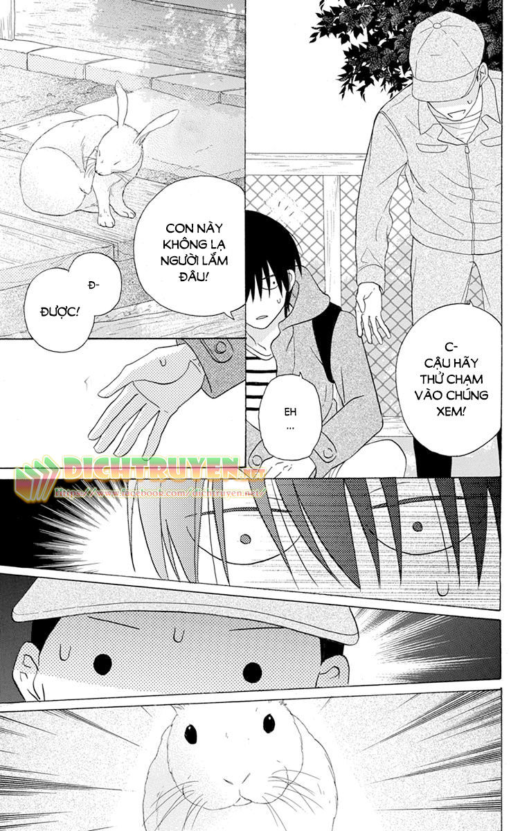 Kawaii Hito (Saitou Ken) Chapter 19 - 22