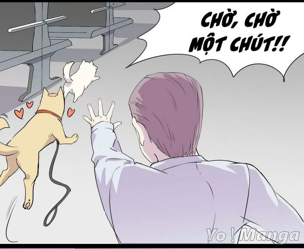 Một Con Chó Chapter 53 - 9