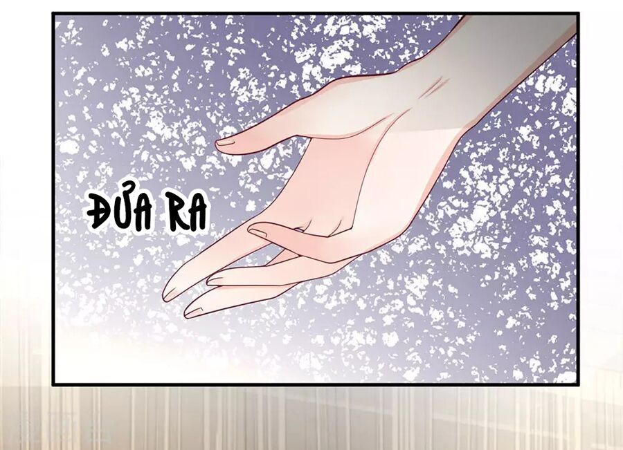 Từ Chối Kết Hôn Với Đại Gia: Cô Dâu Bỏ Trốn Chapter 148 - 6