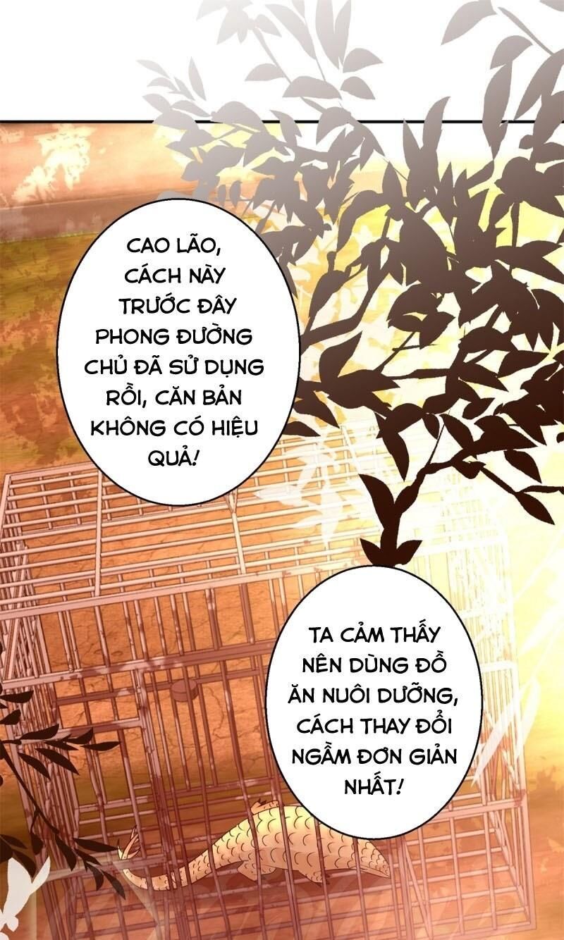 Cửu Dương Đế Tôn Chapter 154 - 1