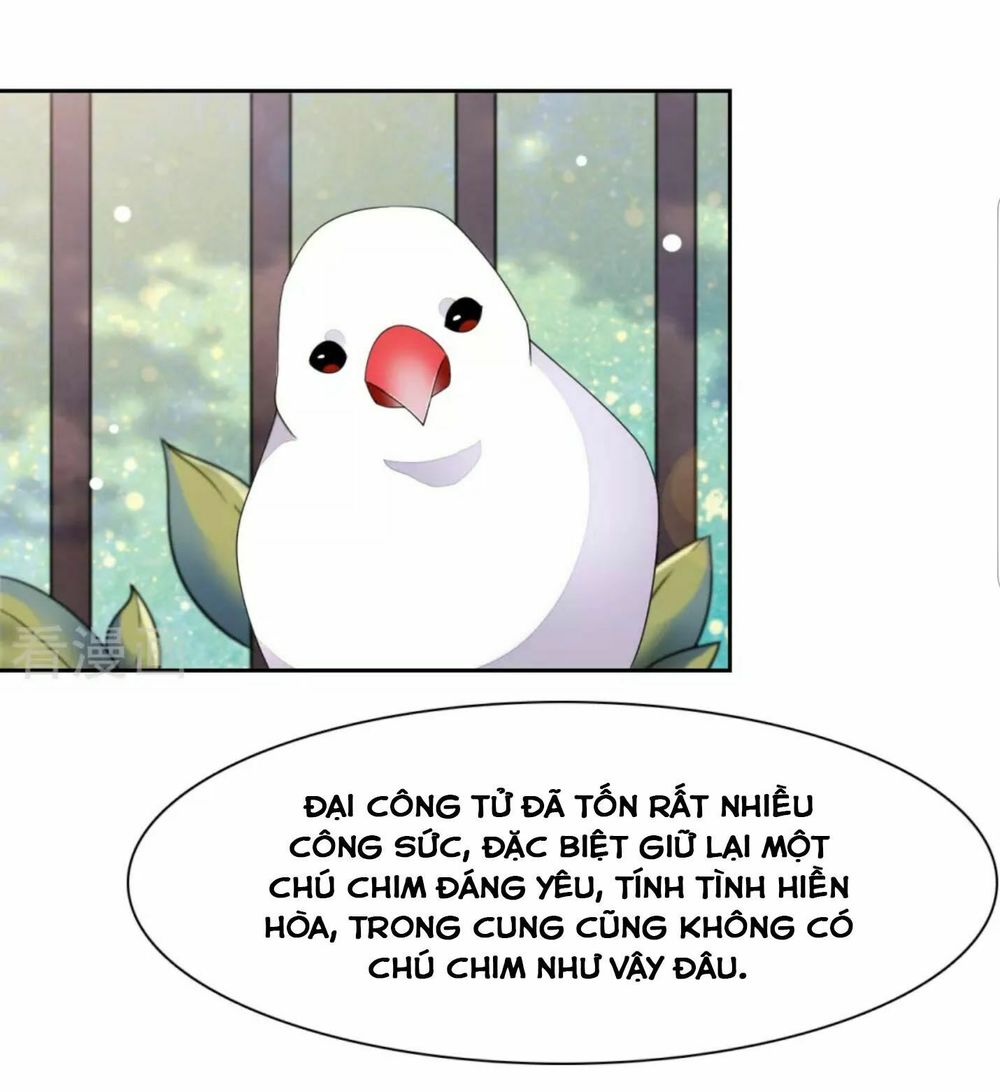 Xuyên Về Cổ Đại Làm Quốc Bảo Chapter 48 - 26