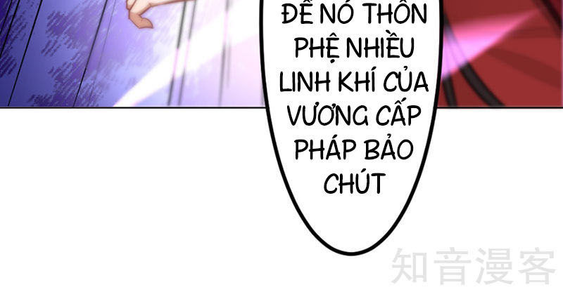 Tiên Đế Trở Về Chapter 38 - 4