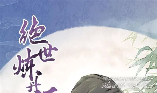 Tuyệt Thế Luyện Đan Sư Chapter 10 - 1