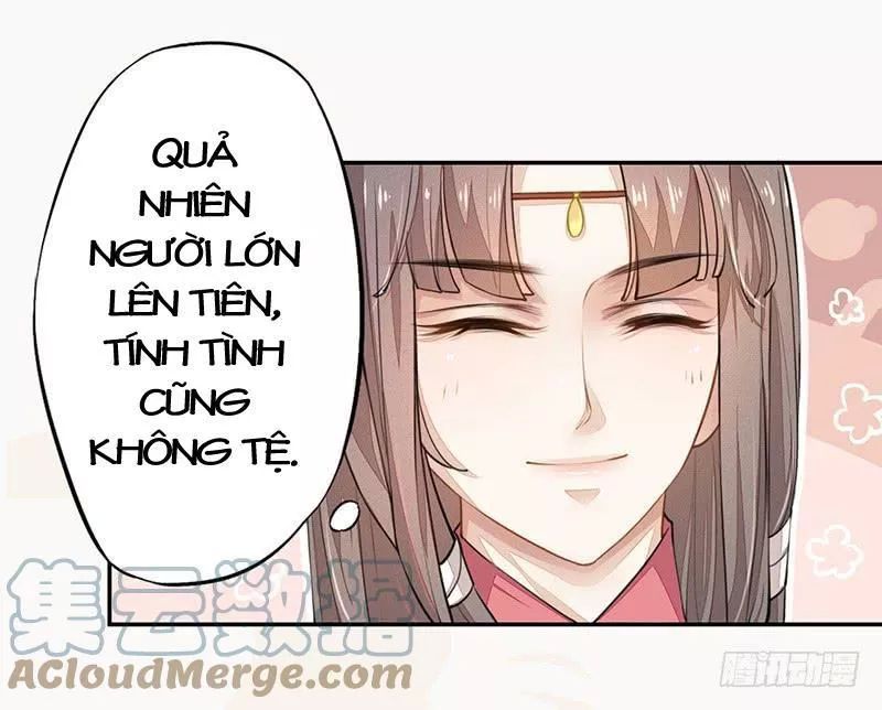 Tuyệt Thế Luyện Đan Sư Chapter 30 - 13