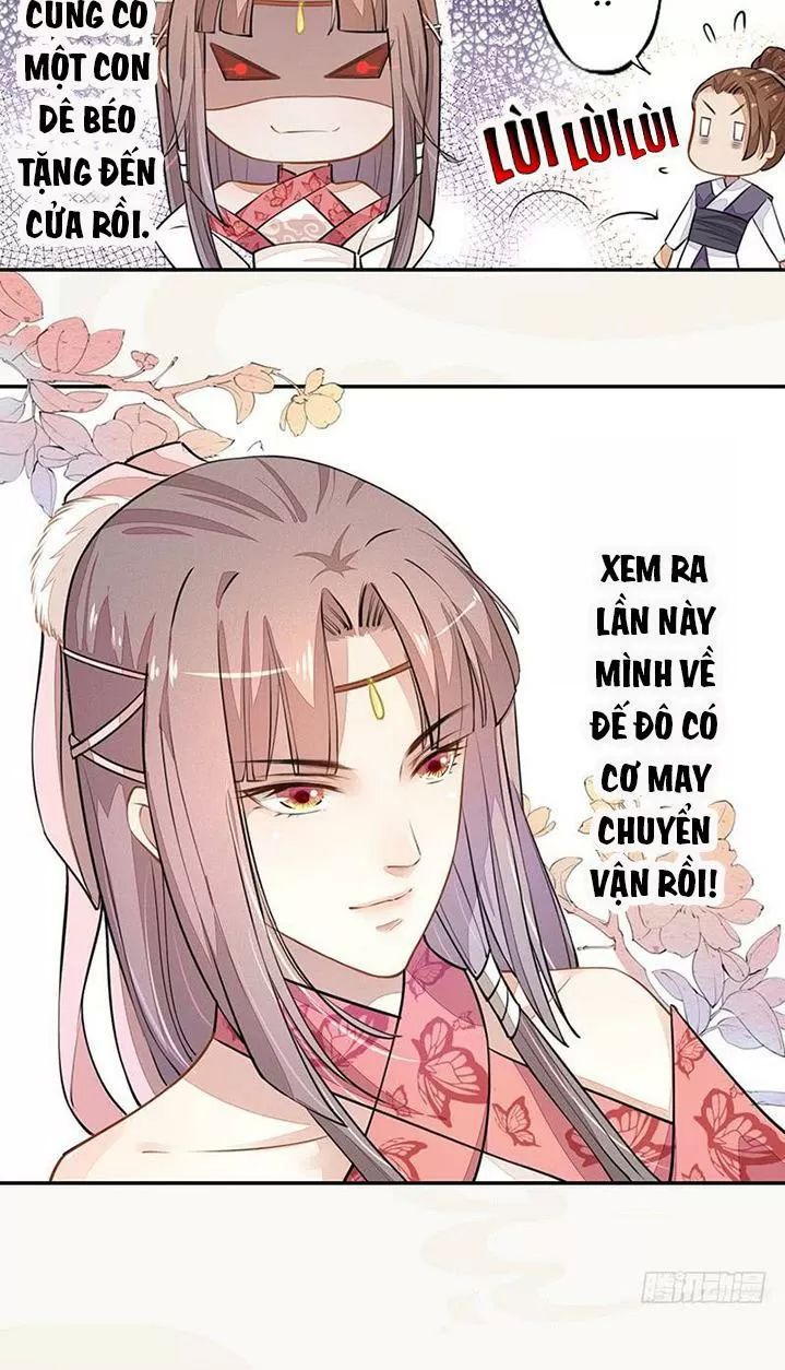 Tuyệt Thế Luyện Đan Sư Chapter 36 - 21