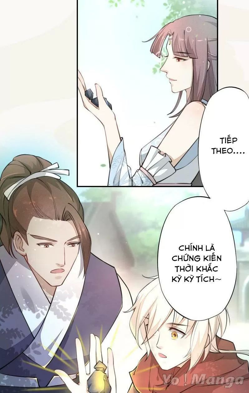 Tuyệt Thế Luyện Đan Sư Chapter 45 - 4