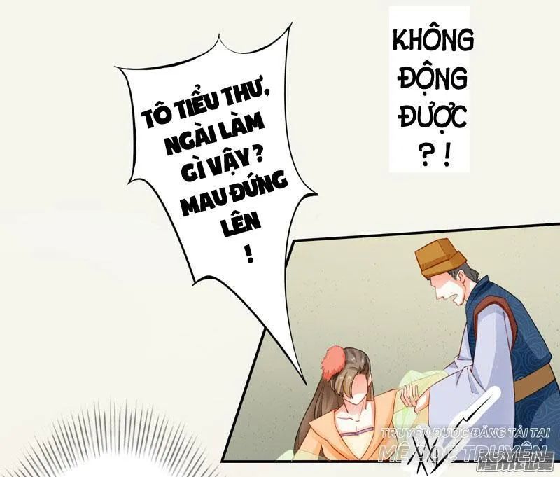 Tuyệt Thế Luyện Đan Sư Chapter 7 - 41