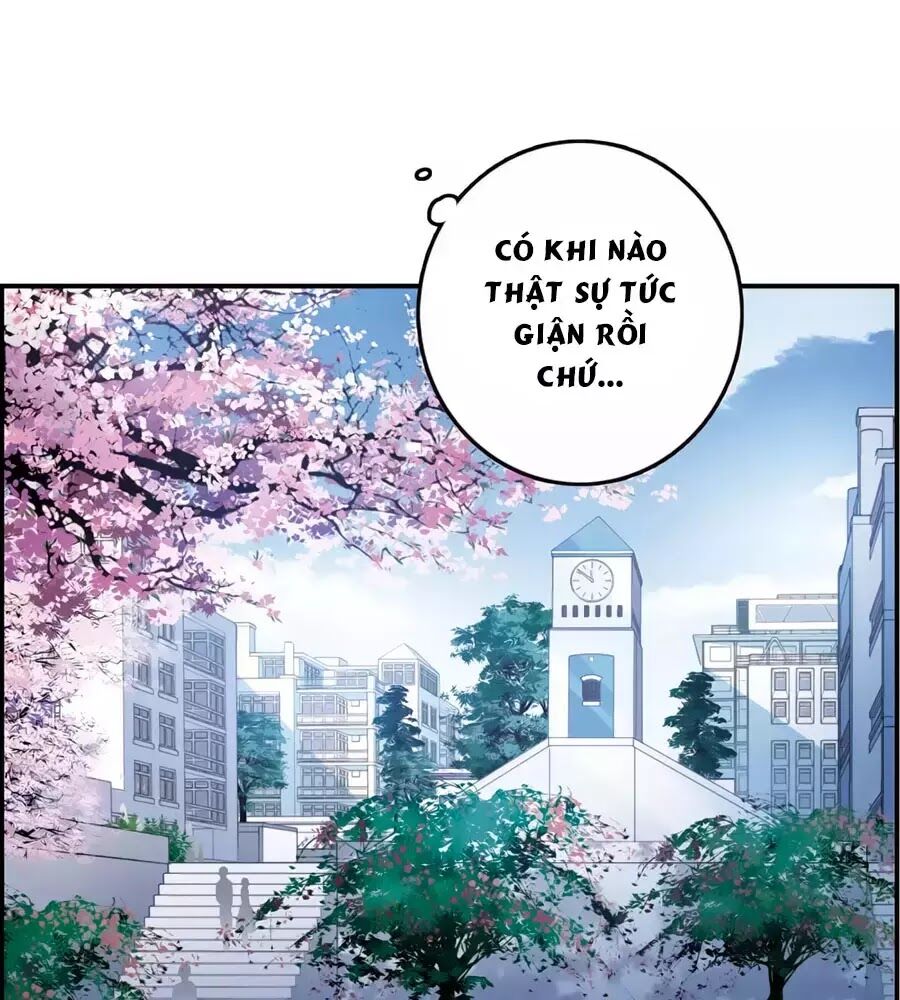 Cuốn Sách Vận Mệnh Của Tôi Chapter 50 - 26